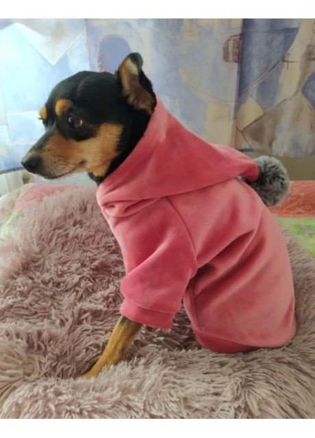 Толстовка для собак Aapa с капюшоном. No Brand (362136133)