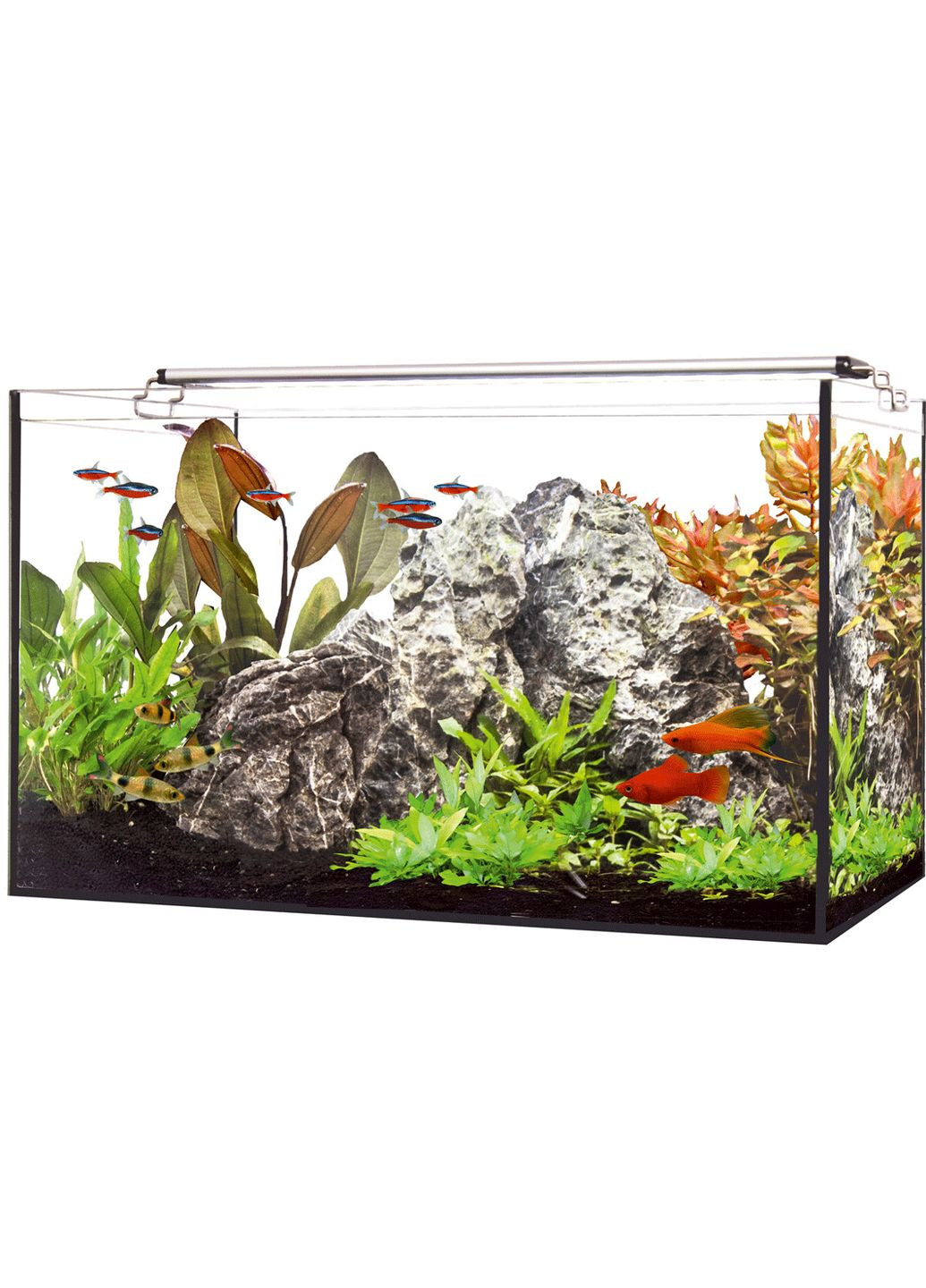 Акваріум "LED AQUARIUM 40" 40x25x25см, 25л. + комплект Happet (360245489)