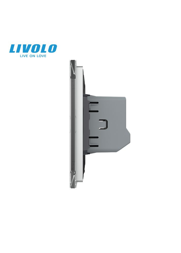 Сенсорна кнопка 2 сенсора 12/24В сірий скло (VL-FC2HC-2IP) Livolo (370970653)