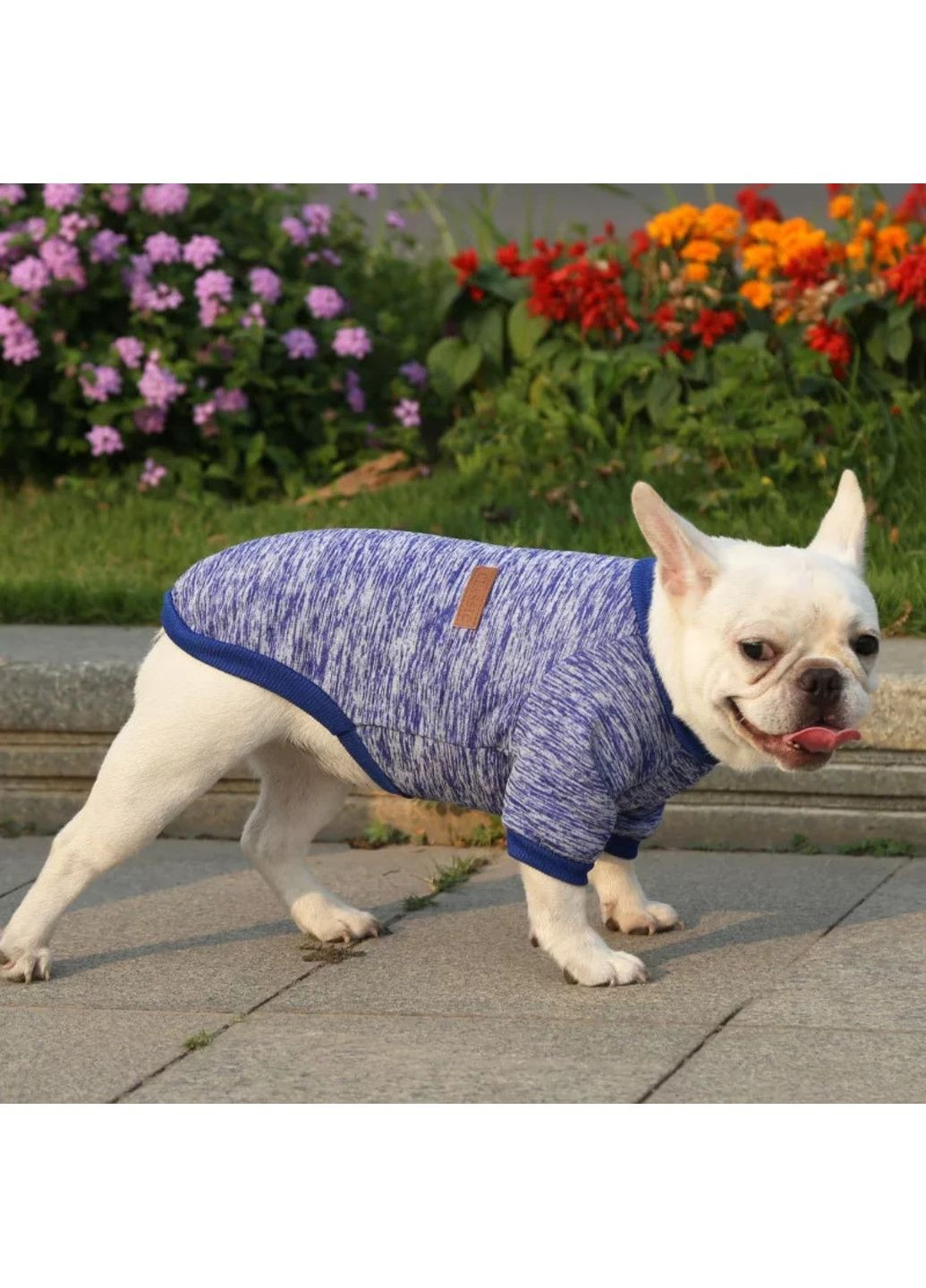 Модний м'який светр "Класик" для котів та собак, XS No Brand (368710496)