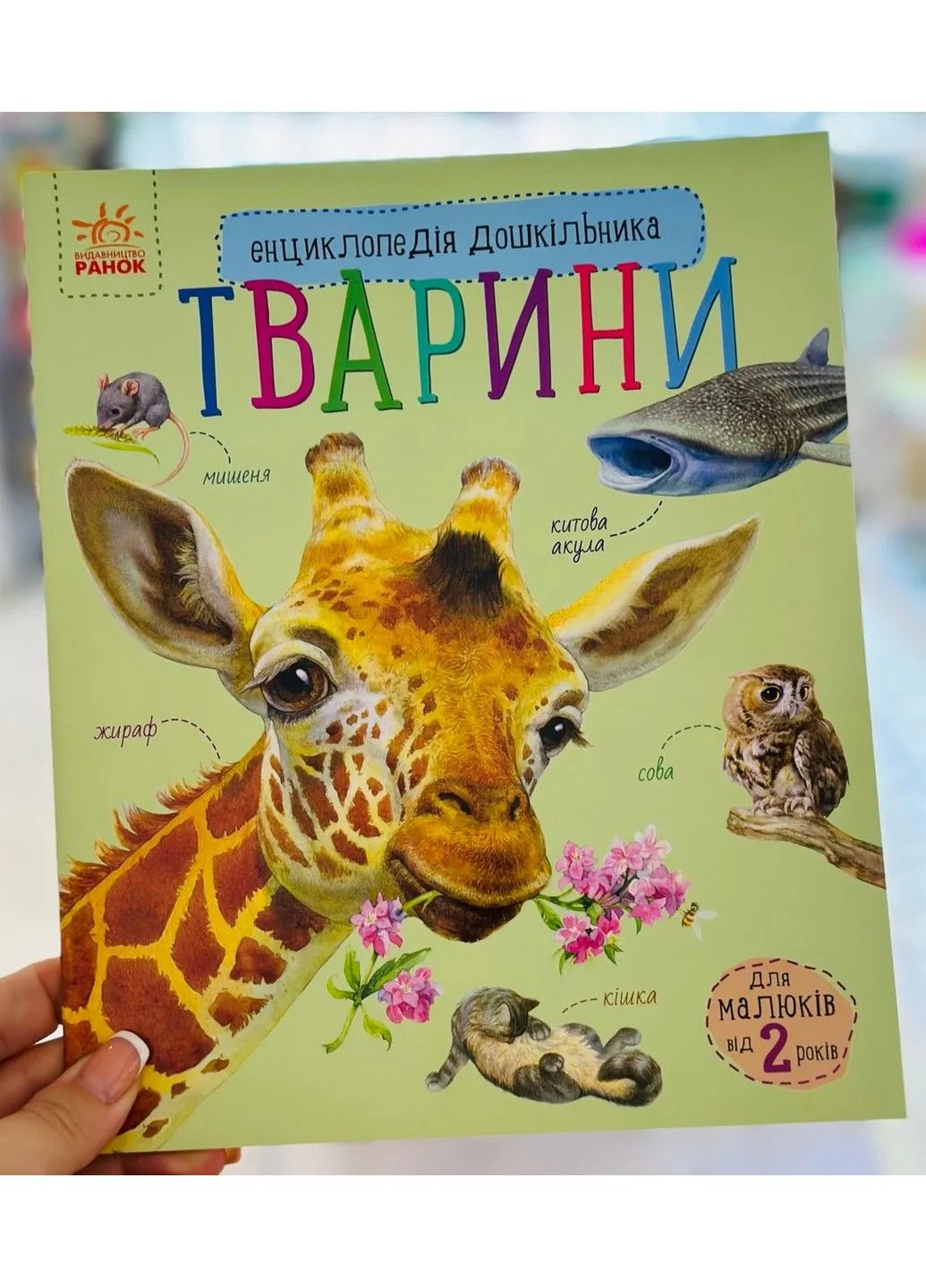 Тварини. Енциклопедія дошкільника Каспарова Ю. (укр) РАНОК (337989604)