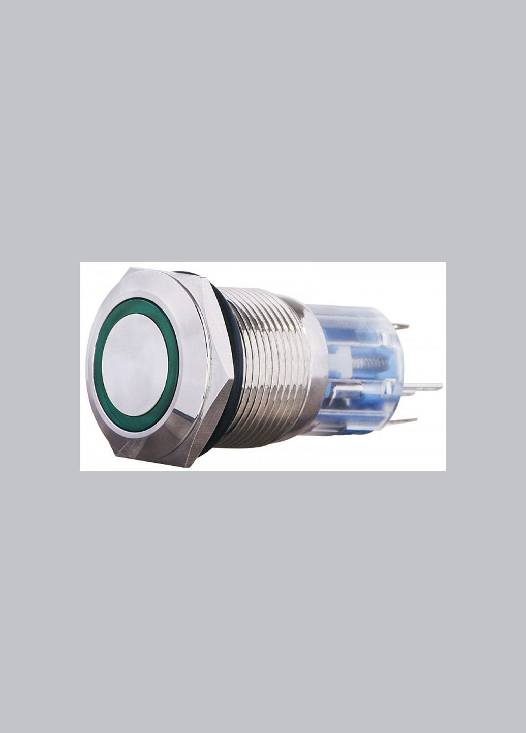 Кнопка металева пласка 1NO+1NC 19мм з підсвічуванням зелений LED 220V [A0140010113] TYJ 19-271 АСКО (344530382)