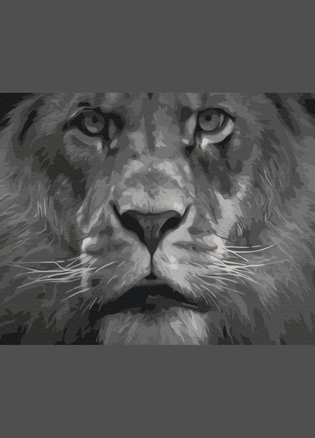 Картина по номерам "Лев в чёрно-белых тонах" 40х50 см Brushme (364840223)