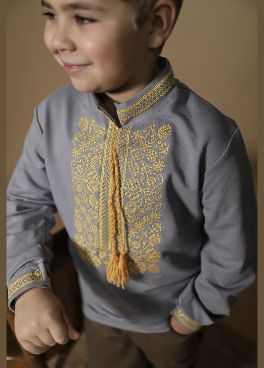 Вишиванка трикотажна дитяча для хлопчика сіра No Brand (341327524)