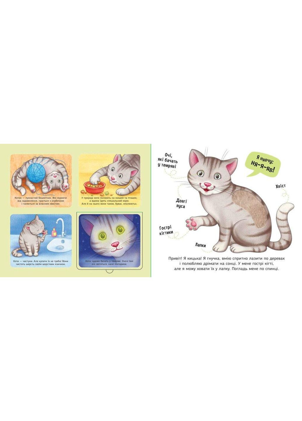 Тактильна книжка для найменших Мої улюбленці. Познайомся і погладь А1455002У РАНОК (362575399)