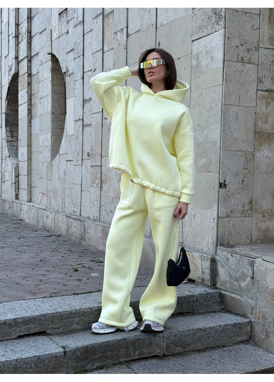 Женский теплый спортивный костюм Asi.Store.ua (362137412)