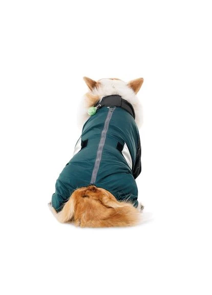 Комбінезон Den для собак Pet Fashion (333141091)
