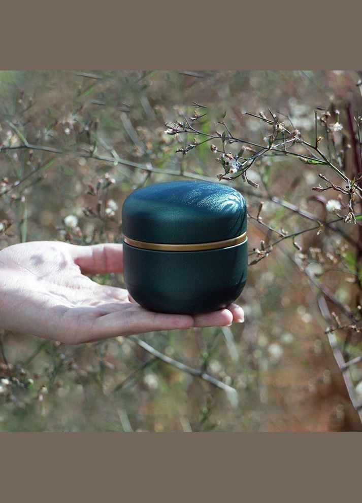 Баночка для чая Матча, емкость для хранения Изумрудная (R-18443-VS) No Brand (314926890)