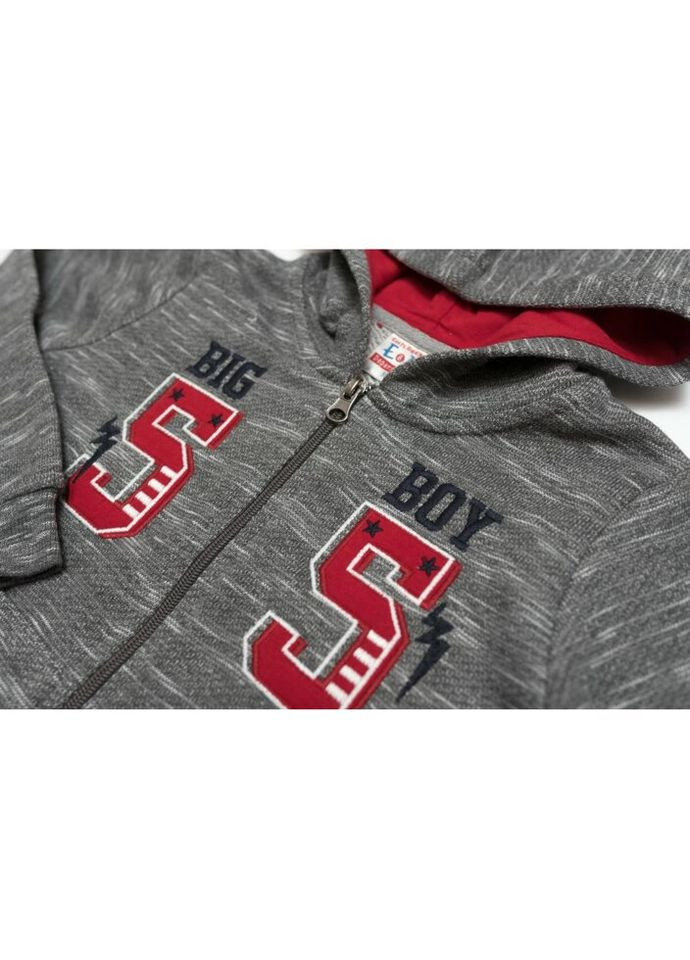 Спортивний костюм з капюшоном (9672-98B-gray) Breeze (300857469)