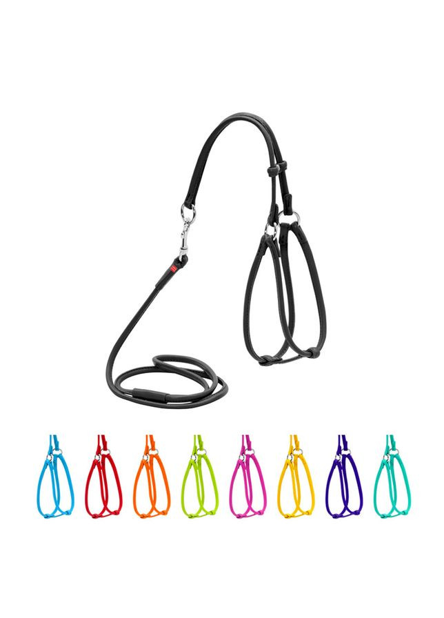 Шлея с поводком для собак кожаная WAUDOG Glamour с QR паспортом, круглая, Д 6 мм, А 26-46 см, В 30-50 см No Brand (363200571)