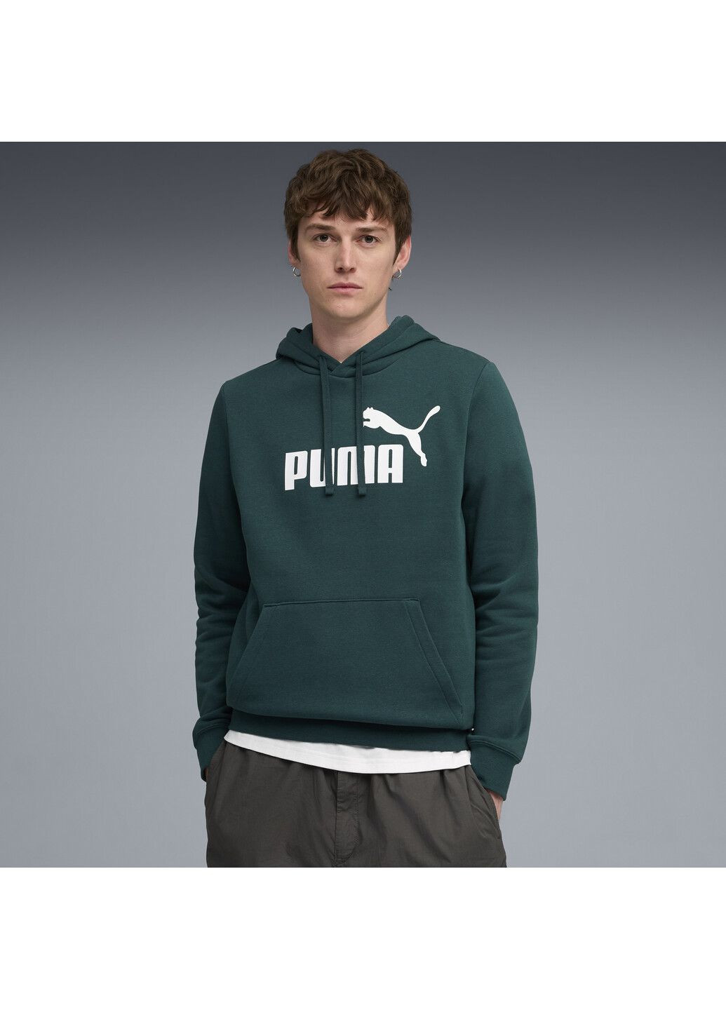 Худи Essentials No. 1 Logo Hoodie Men Puma (351595952)