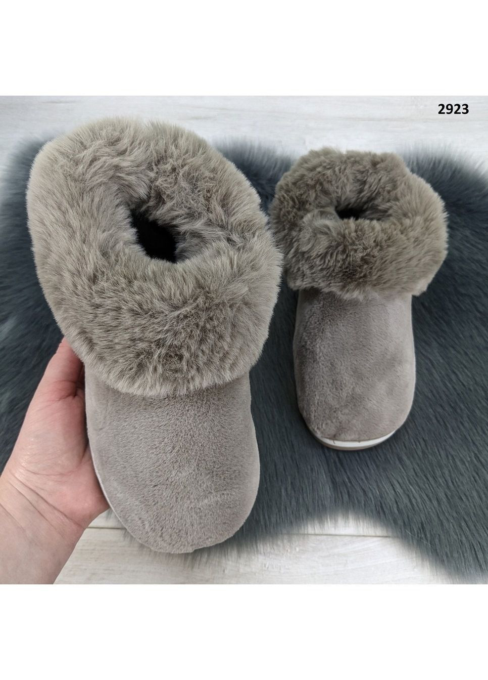 Тапочки чуні жіночі теплі закриті Lion (303397317)