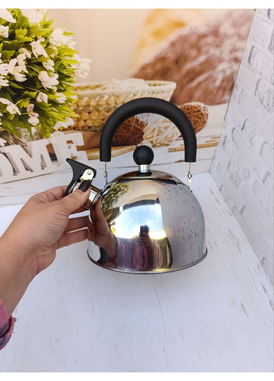 Чайник зі свистком 1318 з нержавіючої сталі 1.5 л Сталевий A-Plus (361308769)