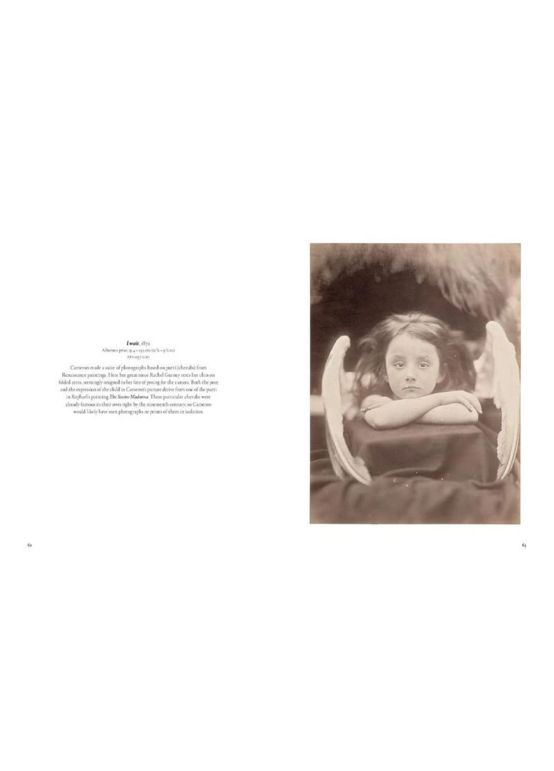 Julia Margaret Cameron Arresting Beauty Thames & Hudson (392247465)