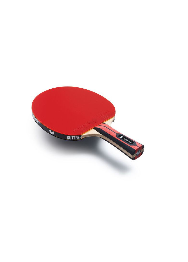 Ракетка для настільного тенісу Team Champion FL (6256800002) Butterfly (362490375)