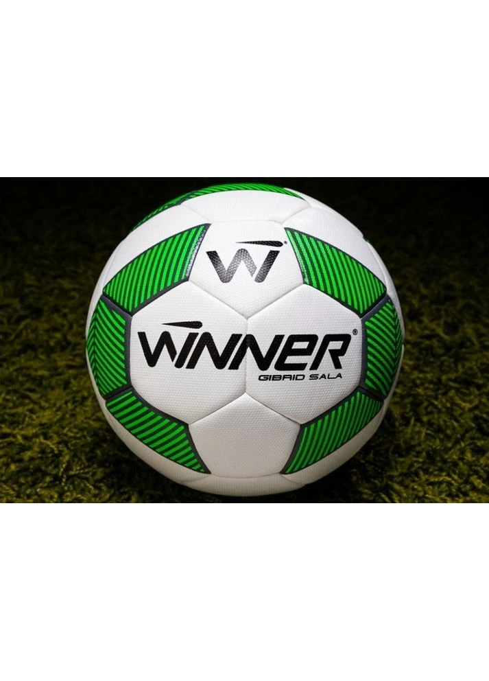 М'яч для футзалу Gibrid Sala № Winner (399458892)