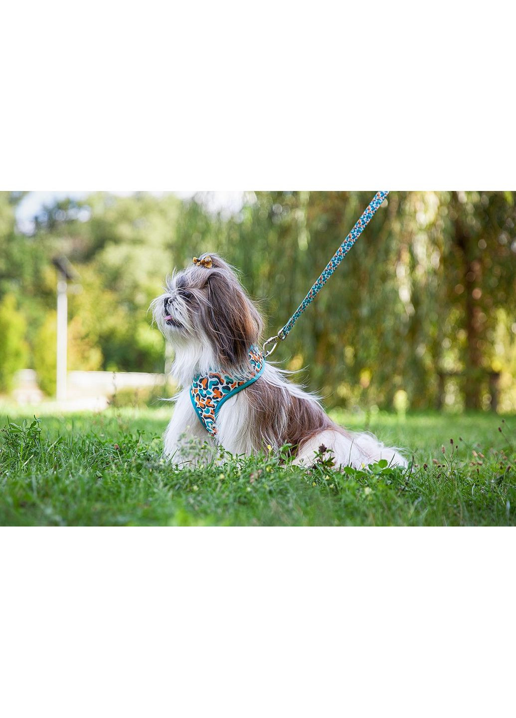 Повідець + м'яка шлейка - квітковий принт, повідець - 120см Happet (353303389)