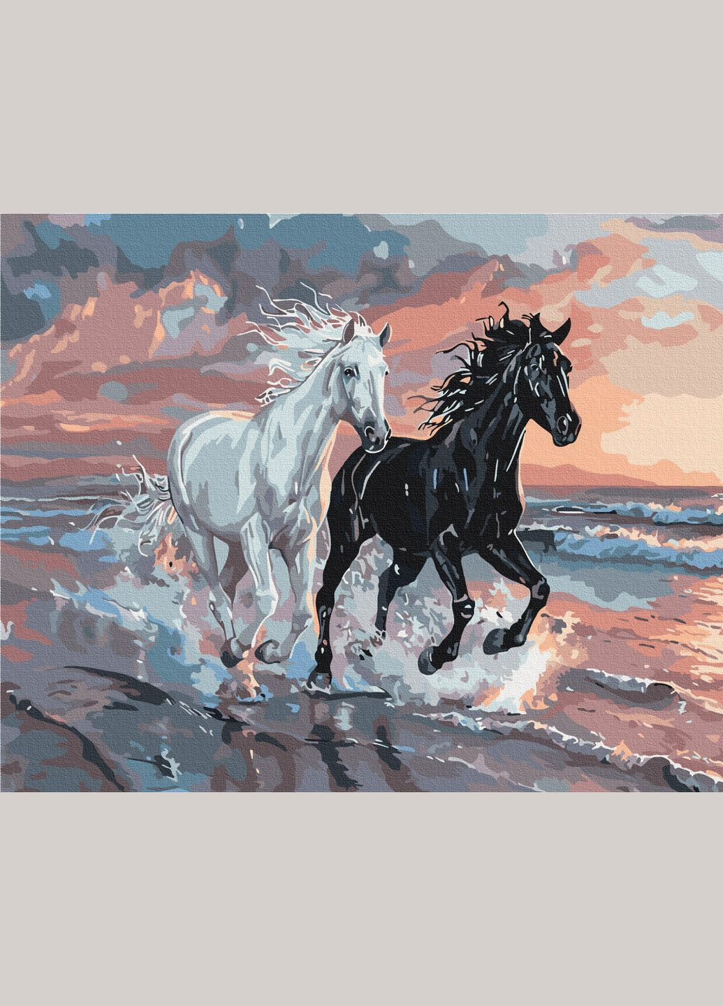 Картина за номерами на підрамнику Дует вітрів Brushme (317275041)