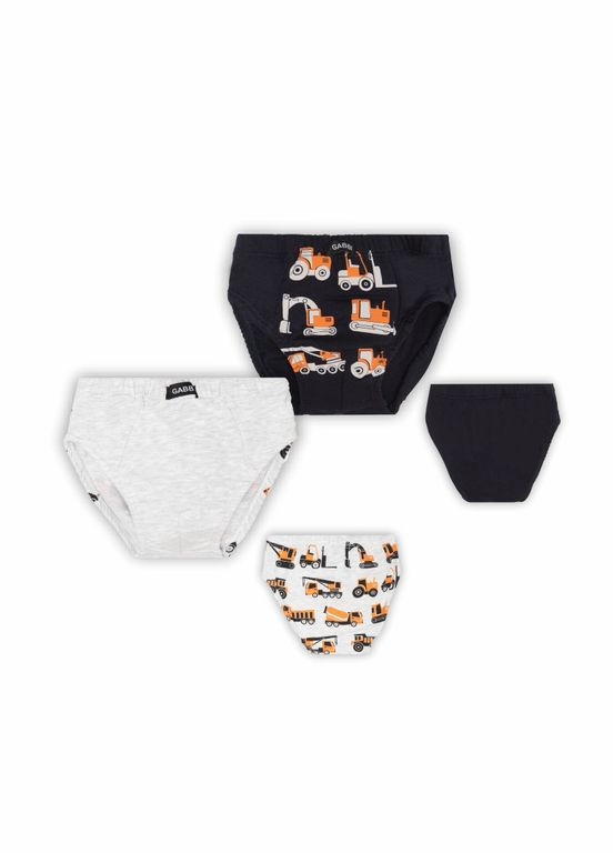 Детские трусы для мальчика TRM-22-1/2 комплект (2 шт.) GABBI (338373420)