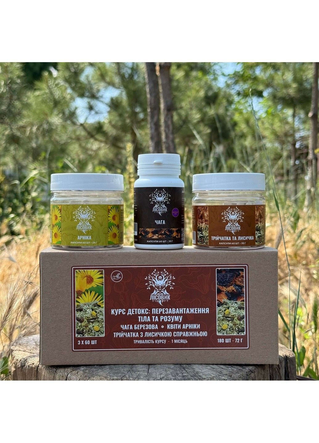 Курс Детокс Чага Трійчатка Лисичка Арніка (1 місяць) Лісовик (364210603)