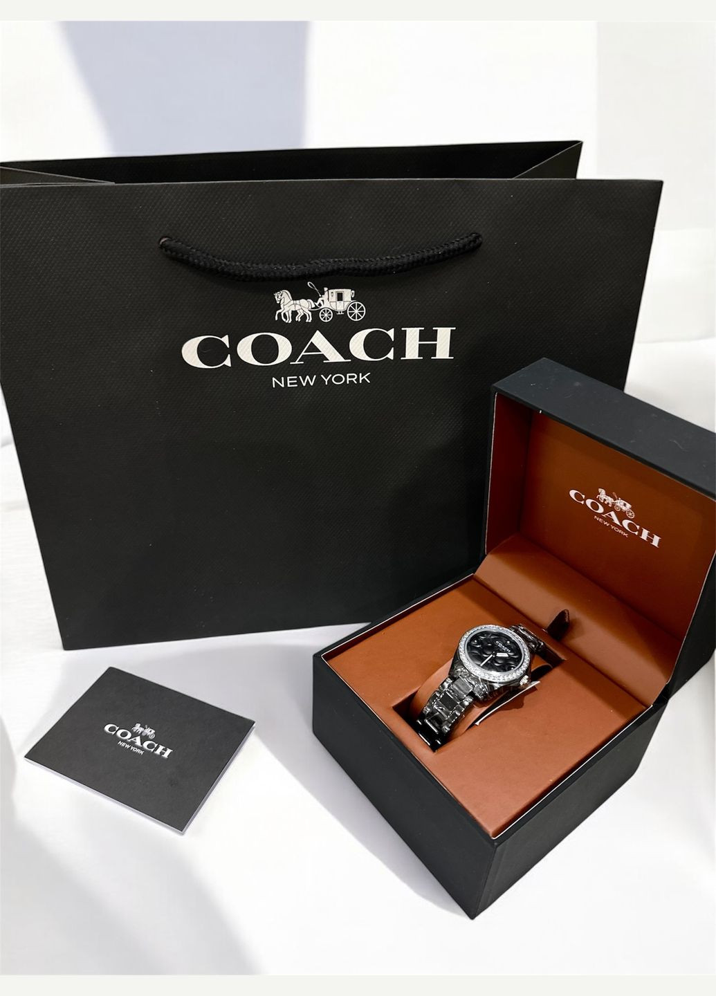 Часы Coach Womens Astor Black Dial Watch - 14503255 (326599487)