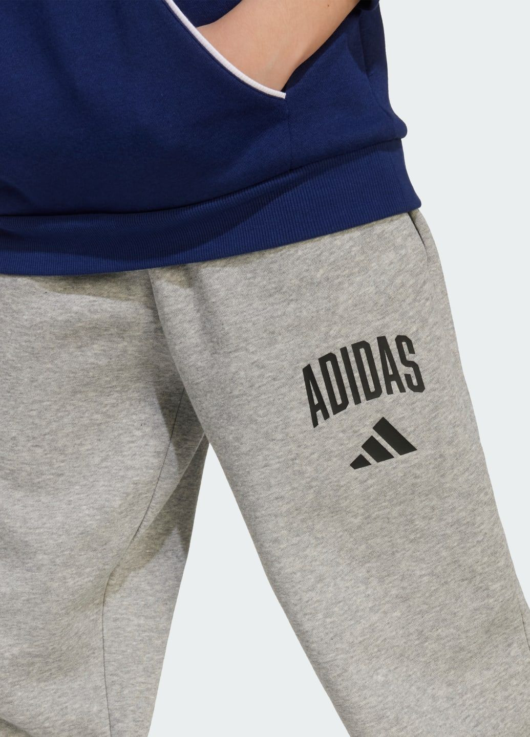 Серые спортивные демисезонные брюки adidas