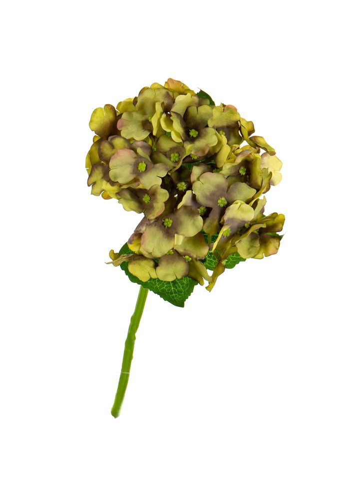 Букет "Гортензія кімнатна", салатова ELISEY (322248816)