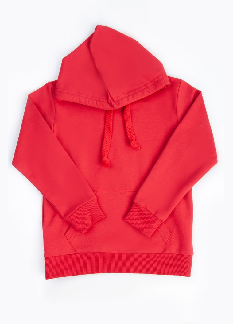 Худі для дівчаток 04-2511-95Д 116 см Авекстекс (340916924)