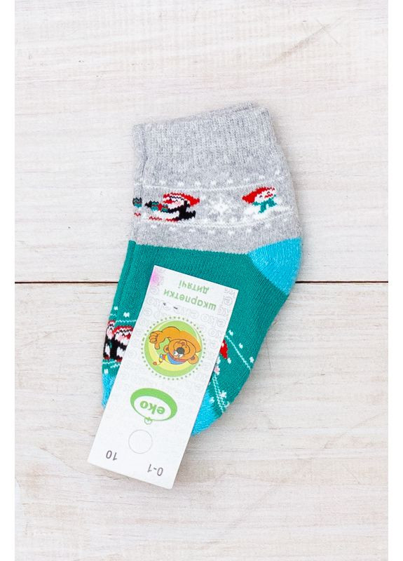 Шкарпетки дитячі (зима) (p-7622) Носи своє (370369671)
