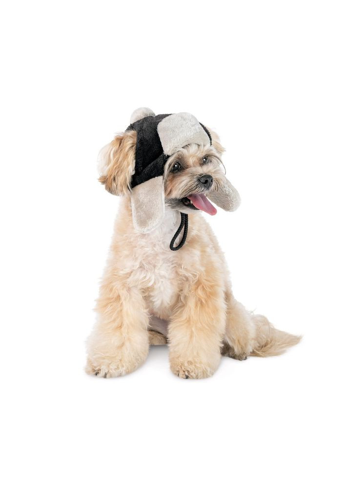 Шапка Bubo для собак, розмір ХS чорна Pet Fashion (372504188)