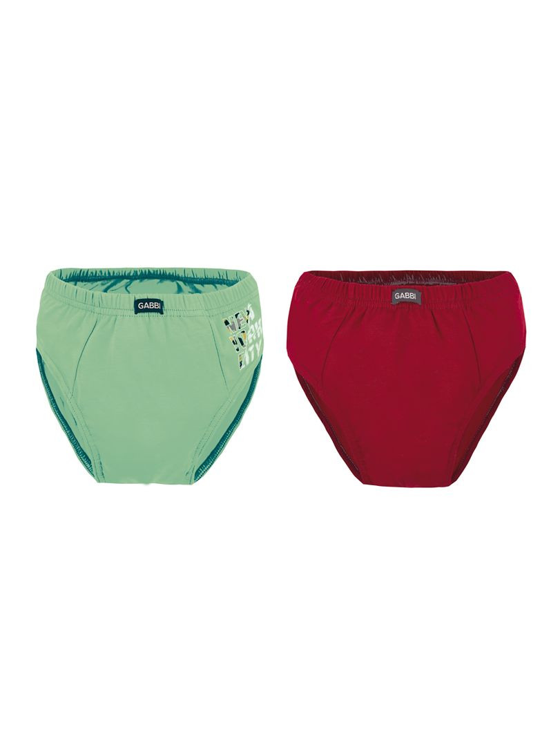 Дитячі труси для хлопчика TRM-20-19 комплект (2 шт.) GABBI (338471874)