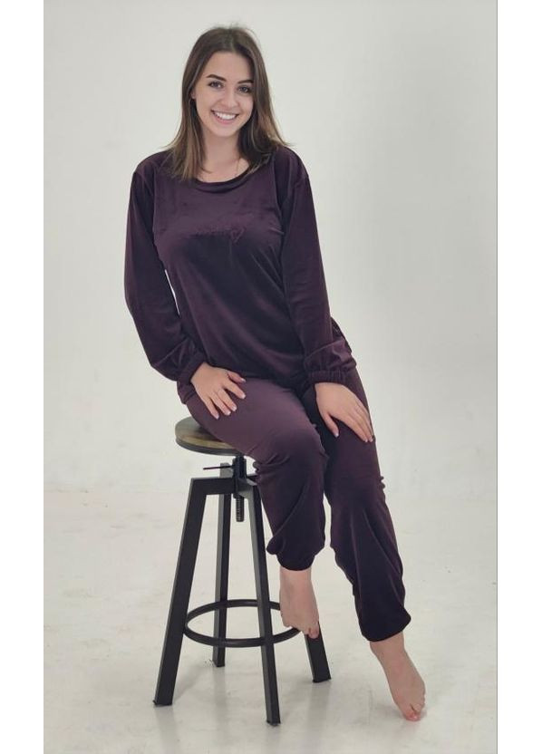 Фиолетовая зимняя теплая женская пижама из велюра, турция кофта + брюки Asel