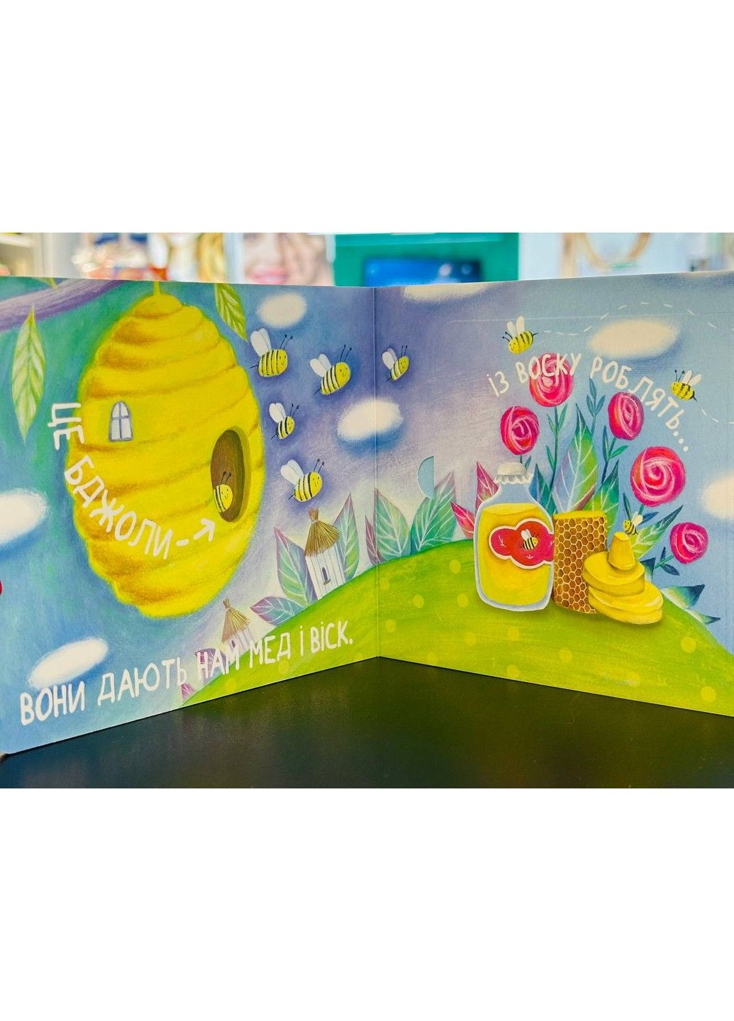 Книга з віконцями (клапанами) Що з чого? Видавництво "ПЕТ" (321967572)