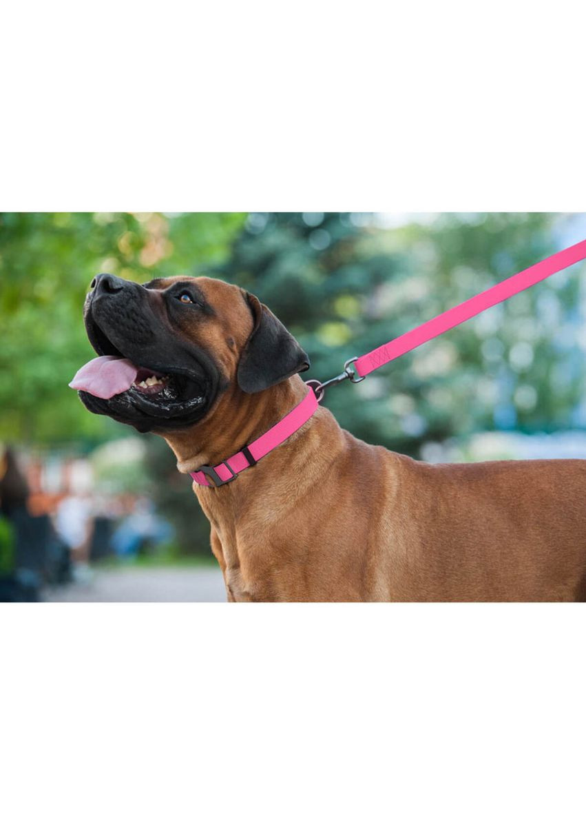 Повідець для собак водостійкий Waterproof,, Ш 15 мм, Дов 122 см WAUDOG (368969076)