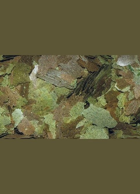 Корм для травоїдних риб із спіруліною Dajana FLORA 5 л/1 кг (8594000252696) Dajana Pet (316135282)