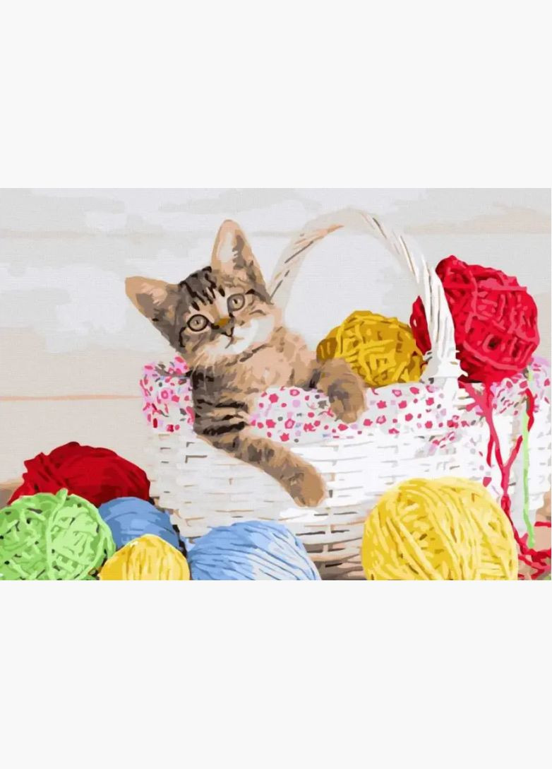 Картина по номерам Котик в клубочках Картины раскраски по цифрам краски на холсте 40*50 GX45168 Rainbow Art (308989194)