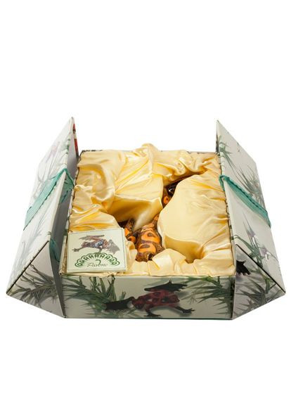 Статуетка порцелянова Жаба 18,5 см 1102681 Pavone (369155280)