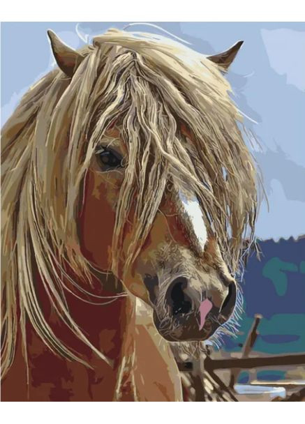 Картина по номерам Лошадь 40х50см SY6487 цветное полотно на подрамнике без коробки Strateg (365875704)