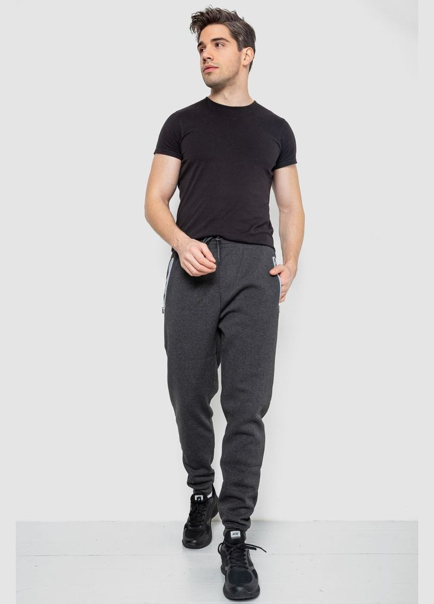 Спортивні штани чоловічі на флісі Ager 244R4643 (308218144)