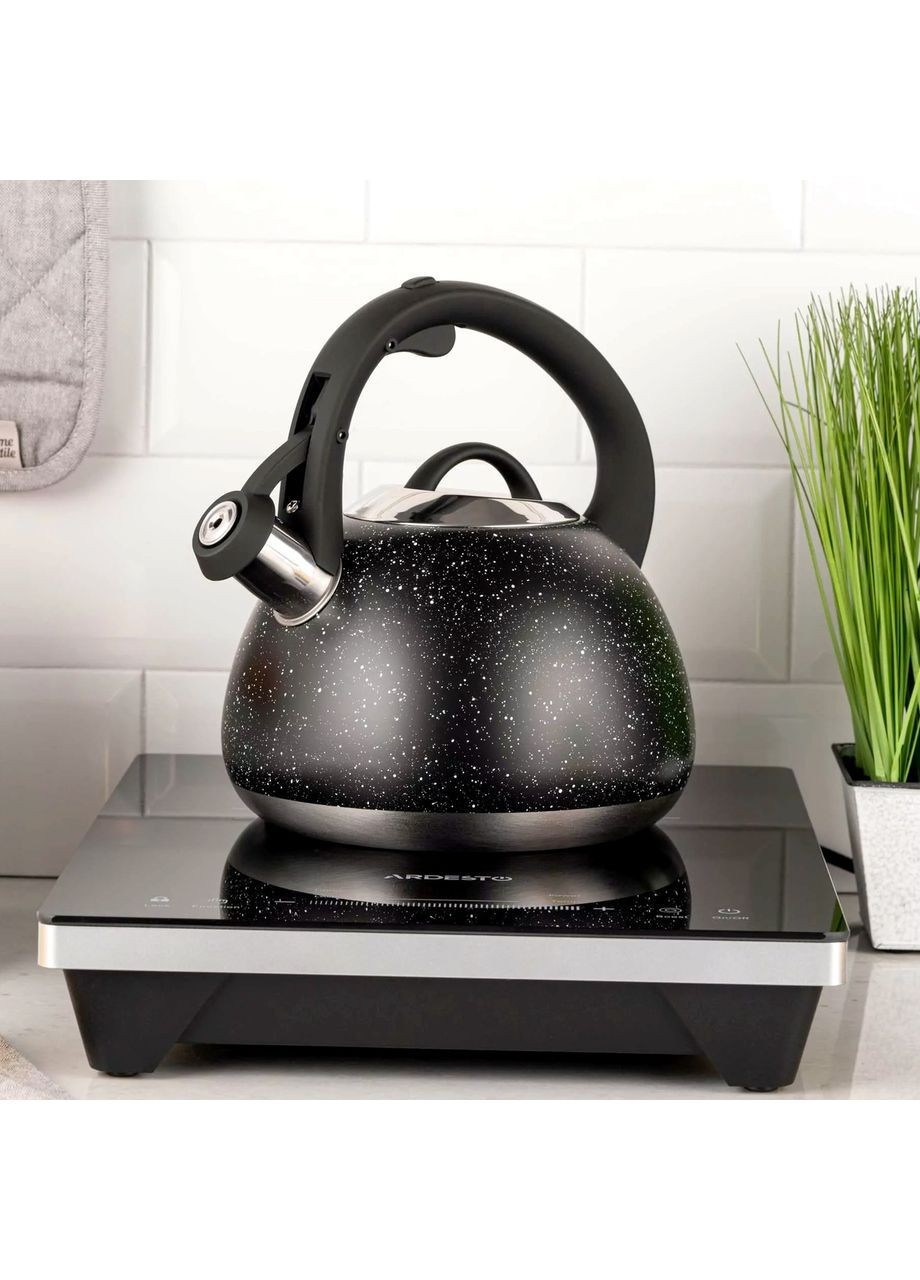 Чайник нержавеющая сталь 2.5 л Gemini Ardesto (364195660)