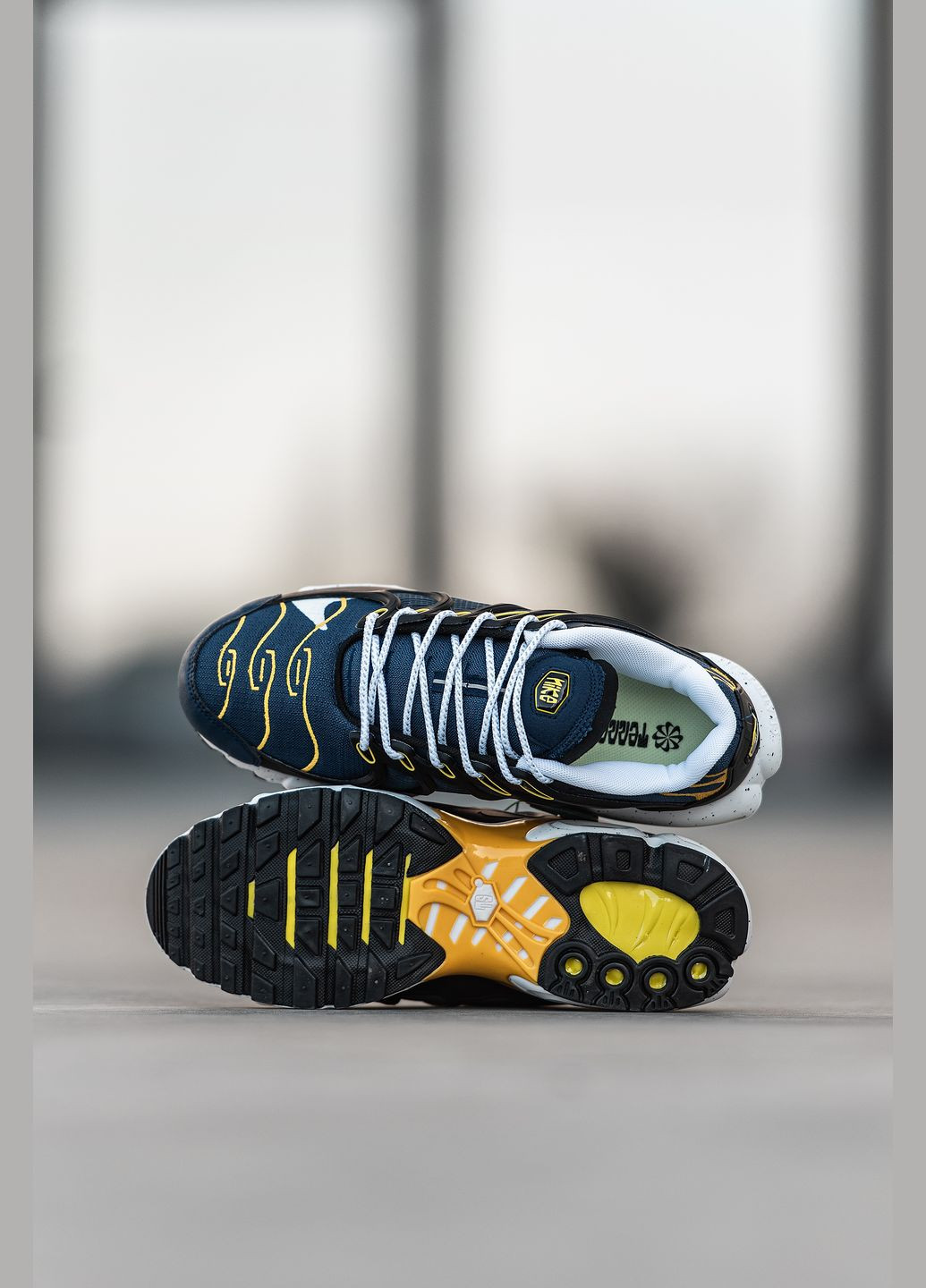Синие демисезонные кроссовки мужские Nike Air Max TN Terrascape