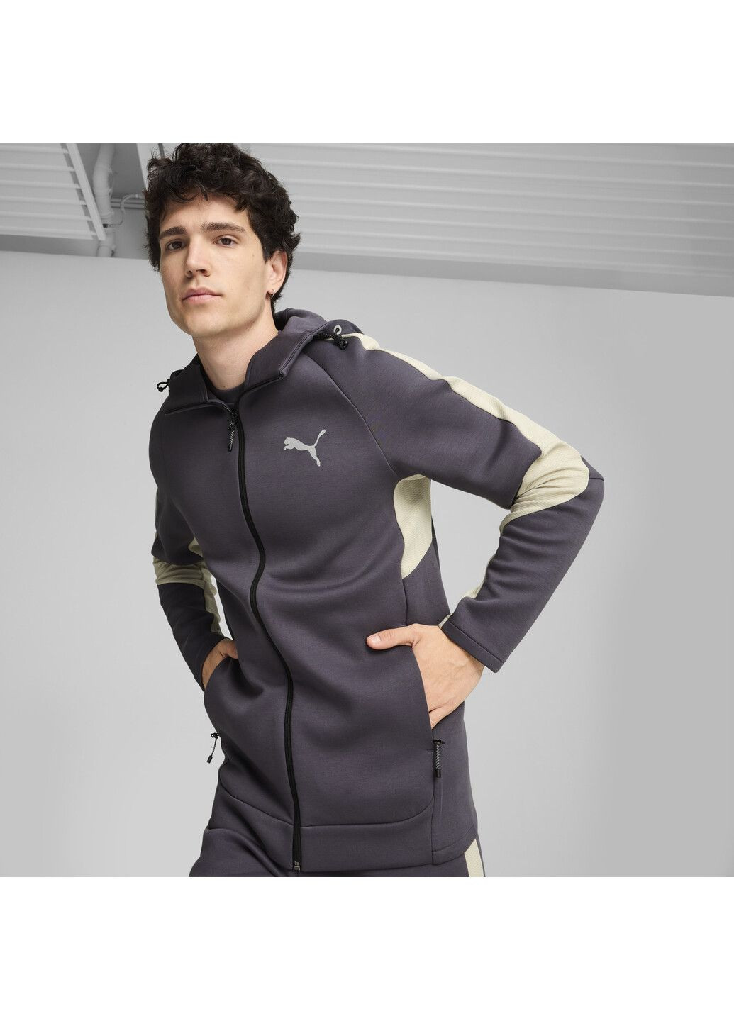 Кофта EVOSTRIPE Full-Zip Hoodie Men Puma (300352987)
