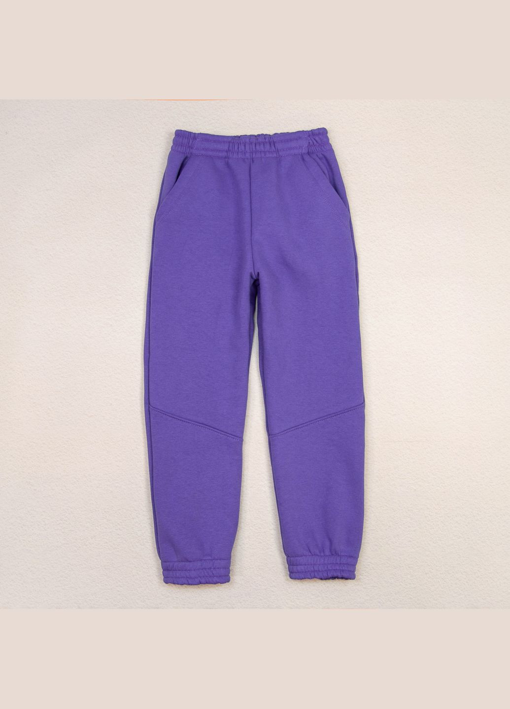 Спортивні штани тринитка дитячі violet Dexter`s Фіолетовий dexter's (279760817)