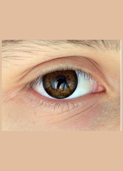 Кольорові лінзи «Лялькові карі» ELITE LENS (LN010) No Brand (326996425)