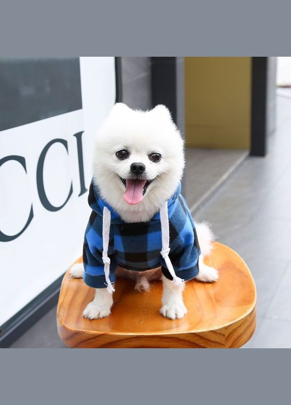 Худі для котів з кишенею Pet Style "Сосиска" Чорносиня клітинка 4XL No Brand - (323235215)