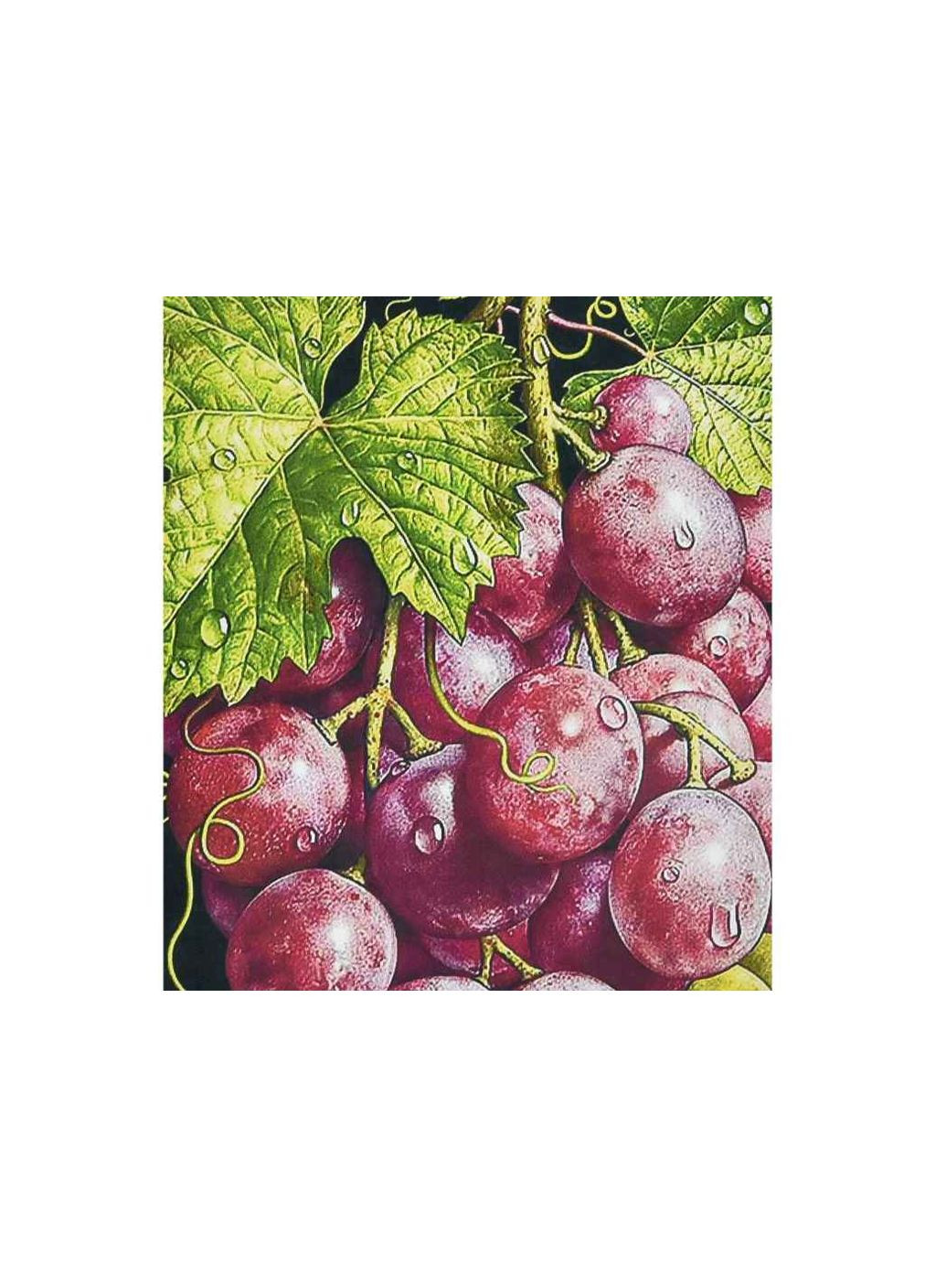 Алмазная картина "Гроздь богатства" HEG87076 Strateg (356457877)