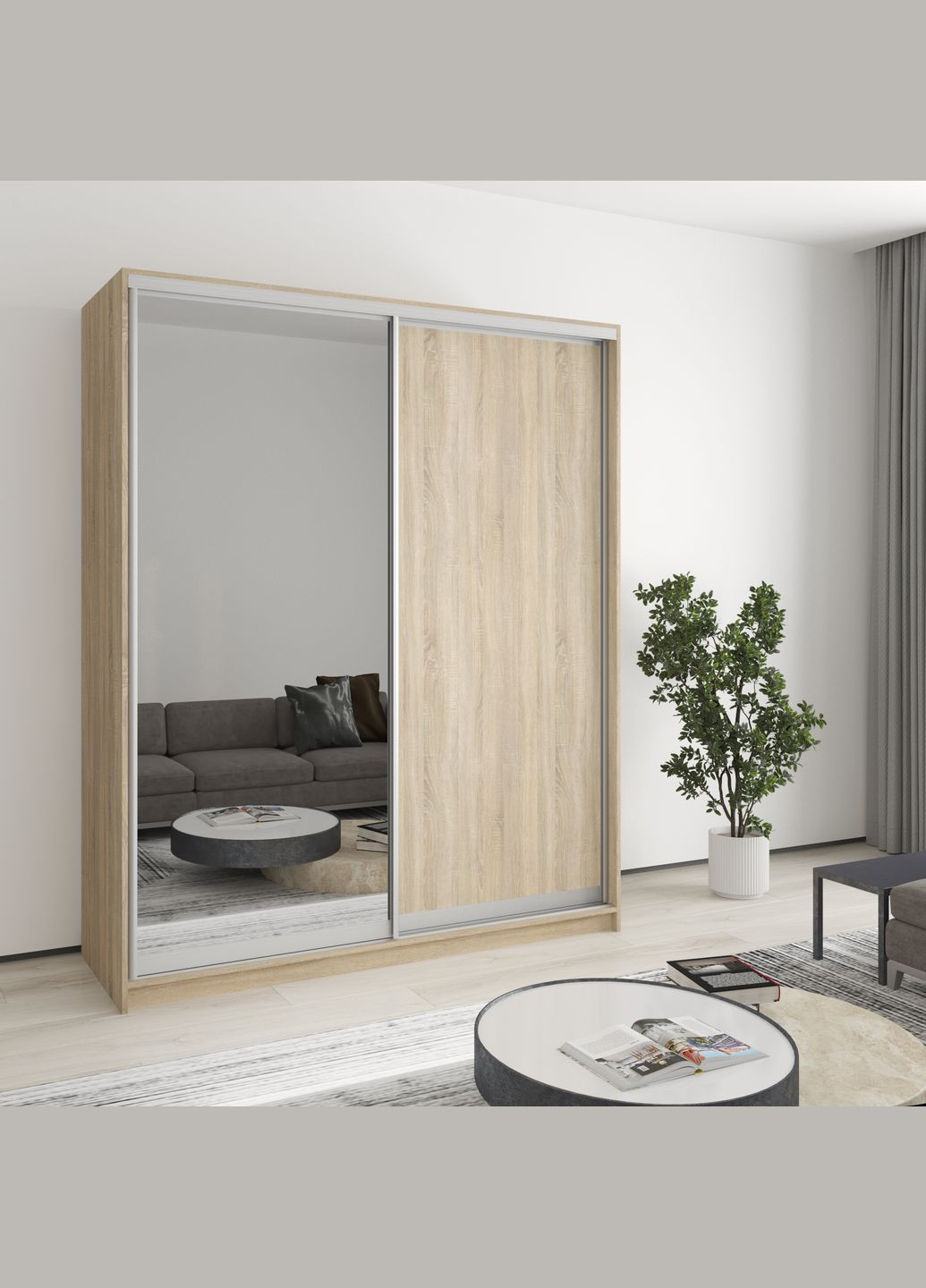 Шкаф-купе двухдверный Стандарт AL ДСП/Зеркало 170x45x210 см (MBS-2376) MebelStar (346289068)