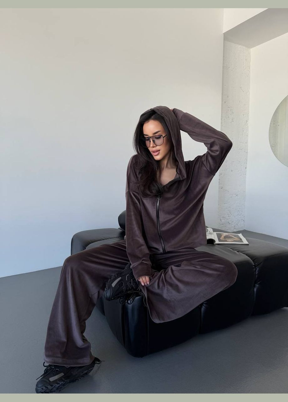 Велюровый женский костюм коричневого цвета 32989 No Brand (331144096)