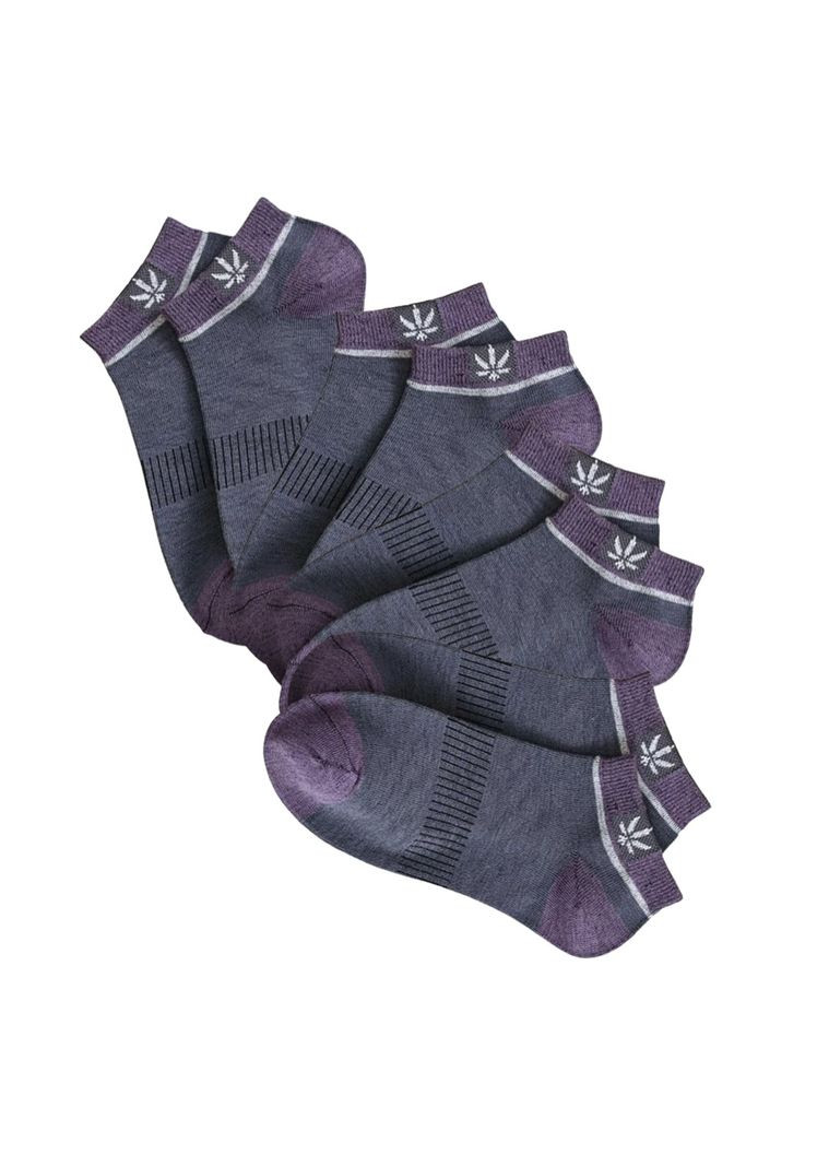 Стильні чоловічі шкарпетки розмір 36-38 Hempo Сіро-фіолетовий, 4 пари BAFT (293488851)