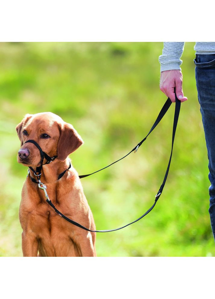 Шлейка для собак тренировочная M черная Trixie (372505047)